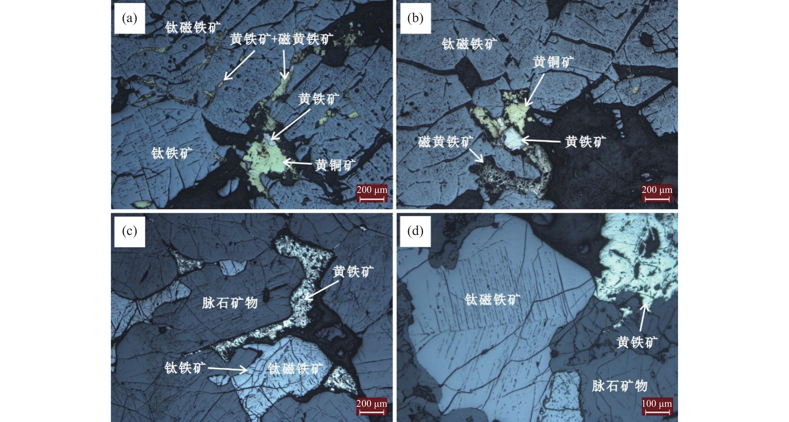 2024-05meiyajun-3.jpg