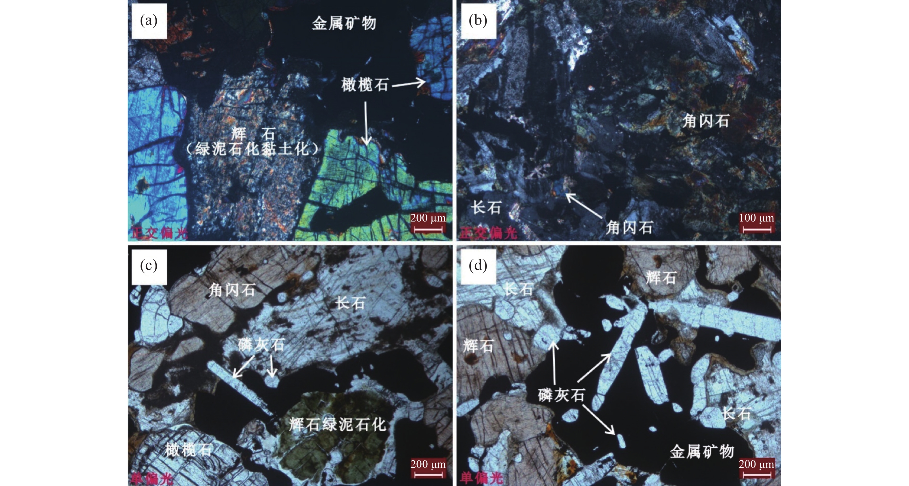 脉石矿物光学显微镜下特征